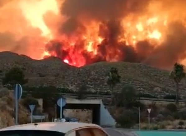 Maxi incendio in Spagna, Andalusia in fiamme e almeno 12 morti: "Persone intrappolate nelle auto a fuoco"
