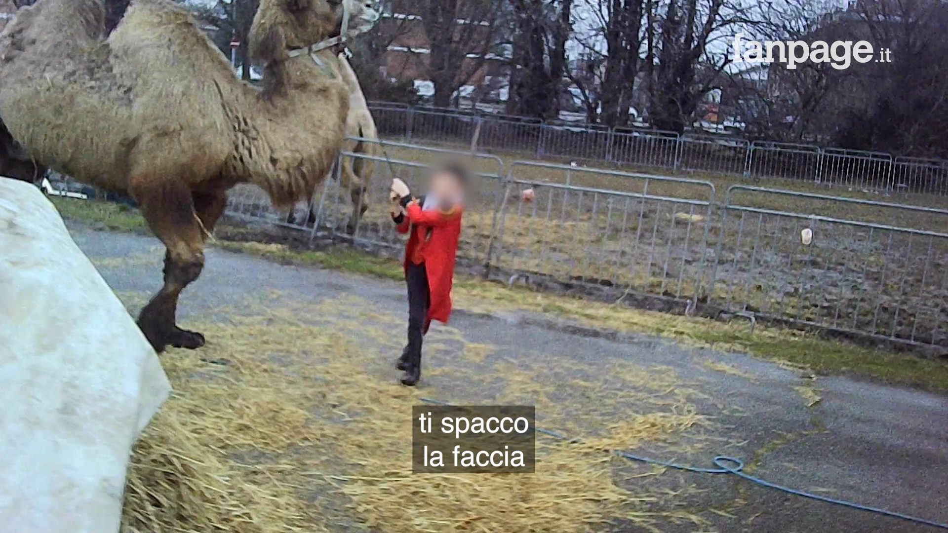 Un minore in uno dei circhi che abbiamo documentato