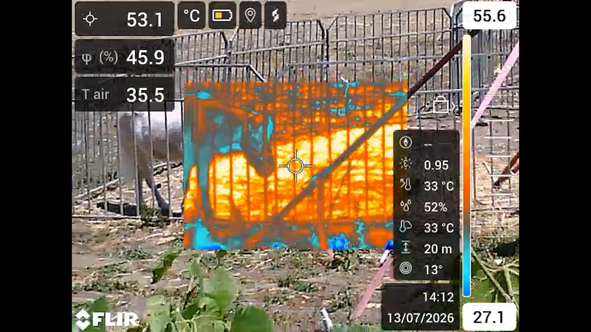 L'analisi con la termocamera: nei circhi animali tenuti a temperature soffocanti, superfici a oltre 50 gradi