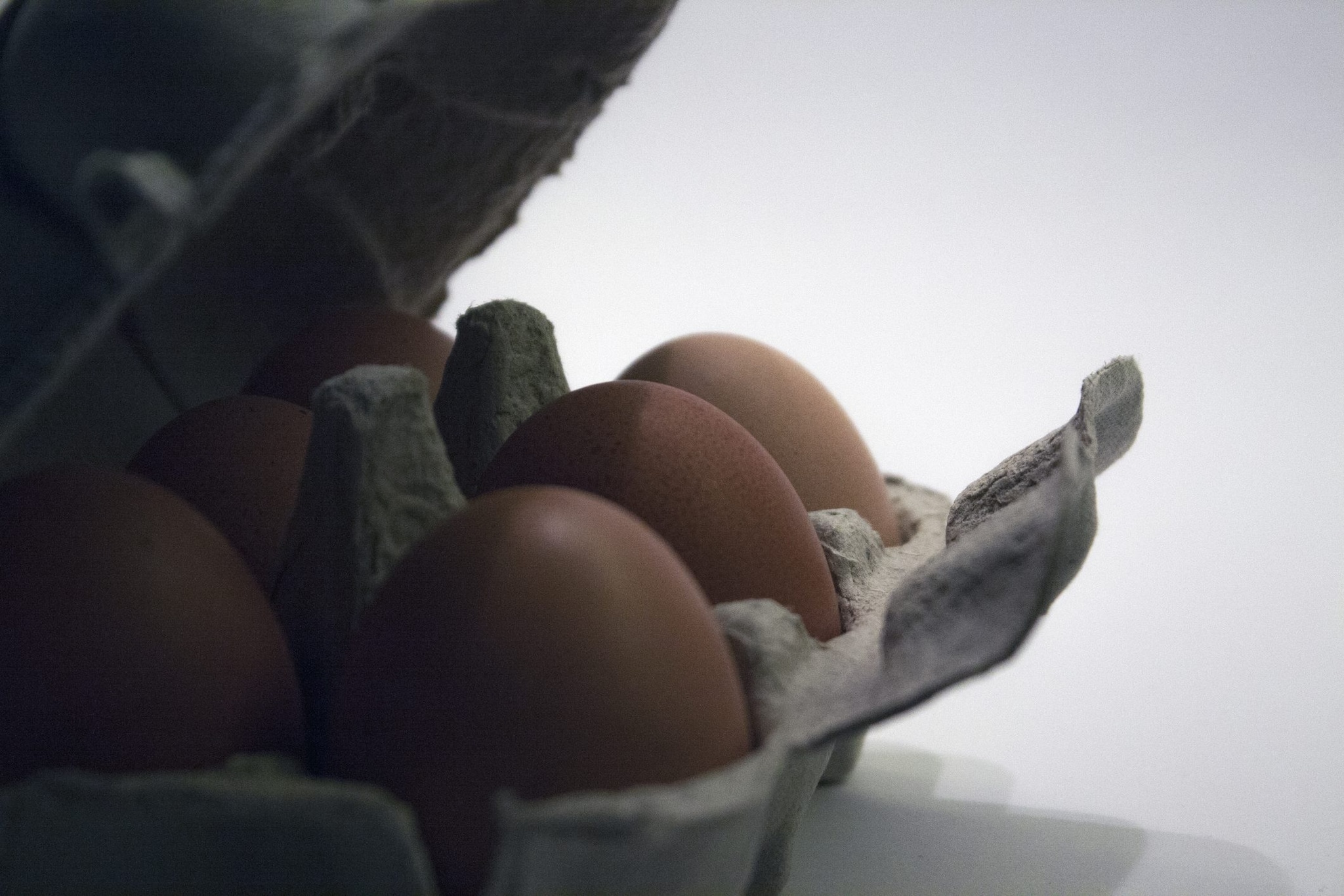 Uova fresche Aia e Selex richiamate per rischio salmonella: "Non consumatele"
