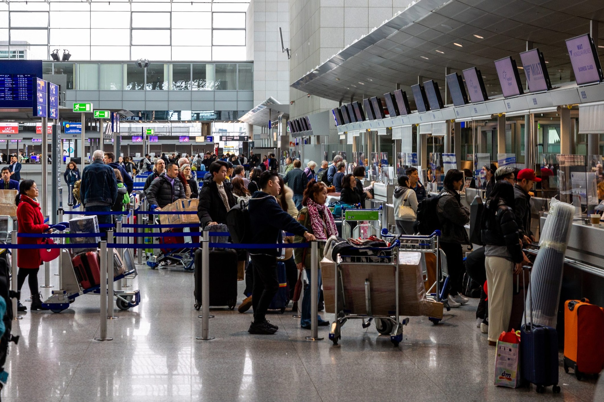 Malaria all'aeroporto di Francoforte: 6 dipendenti contagiati, 2 morti. "Colpa di una zanzara"
