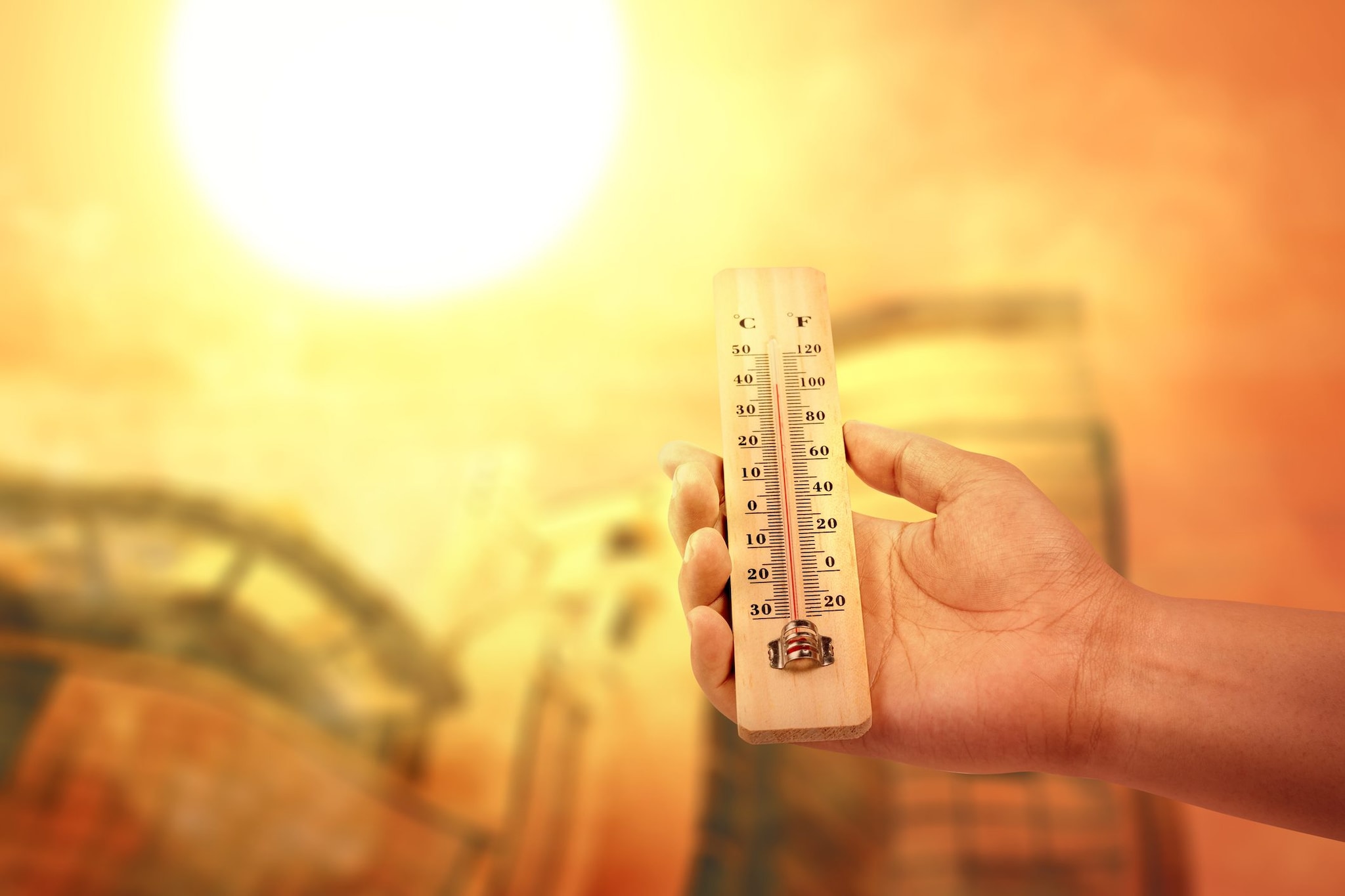 In Sardegna raggiunti i 48,4 gradi, a luglio il nuovo record assoluto di temperatura registrato a Orani: i dati Arpa