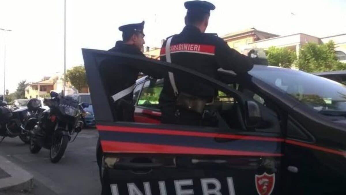immagine di repertorio