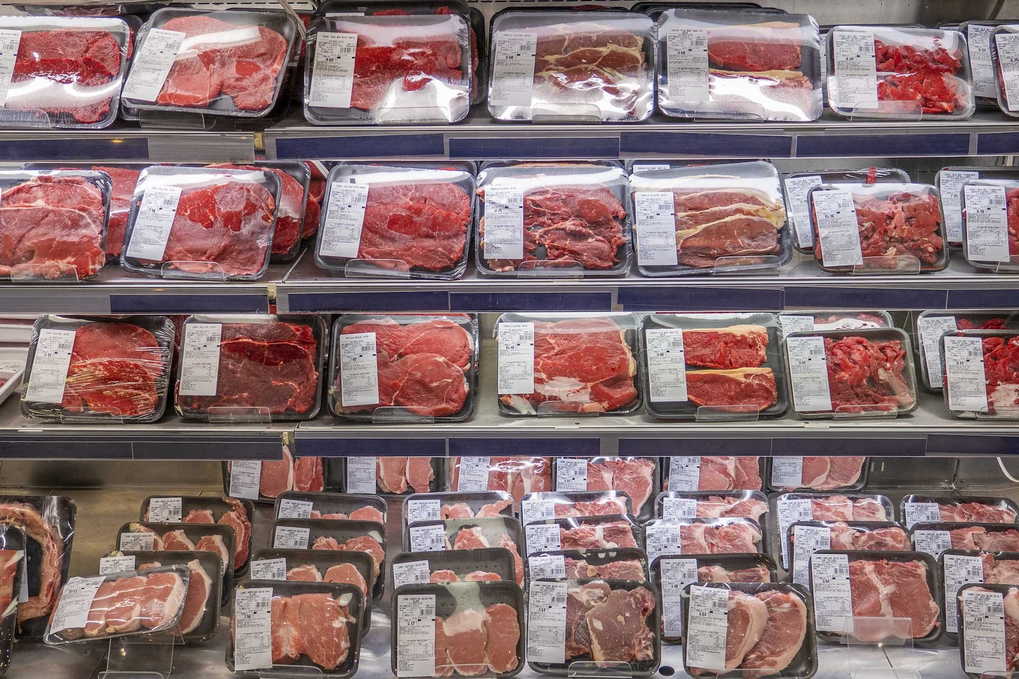 Ue, stop alla carne importata dal Brasile: nel mirino l'uso degli antibiotici negli allevamenti