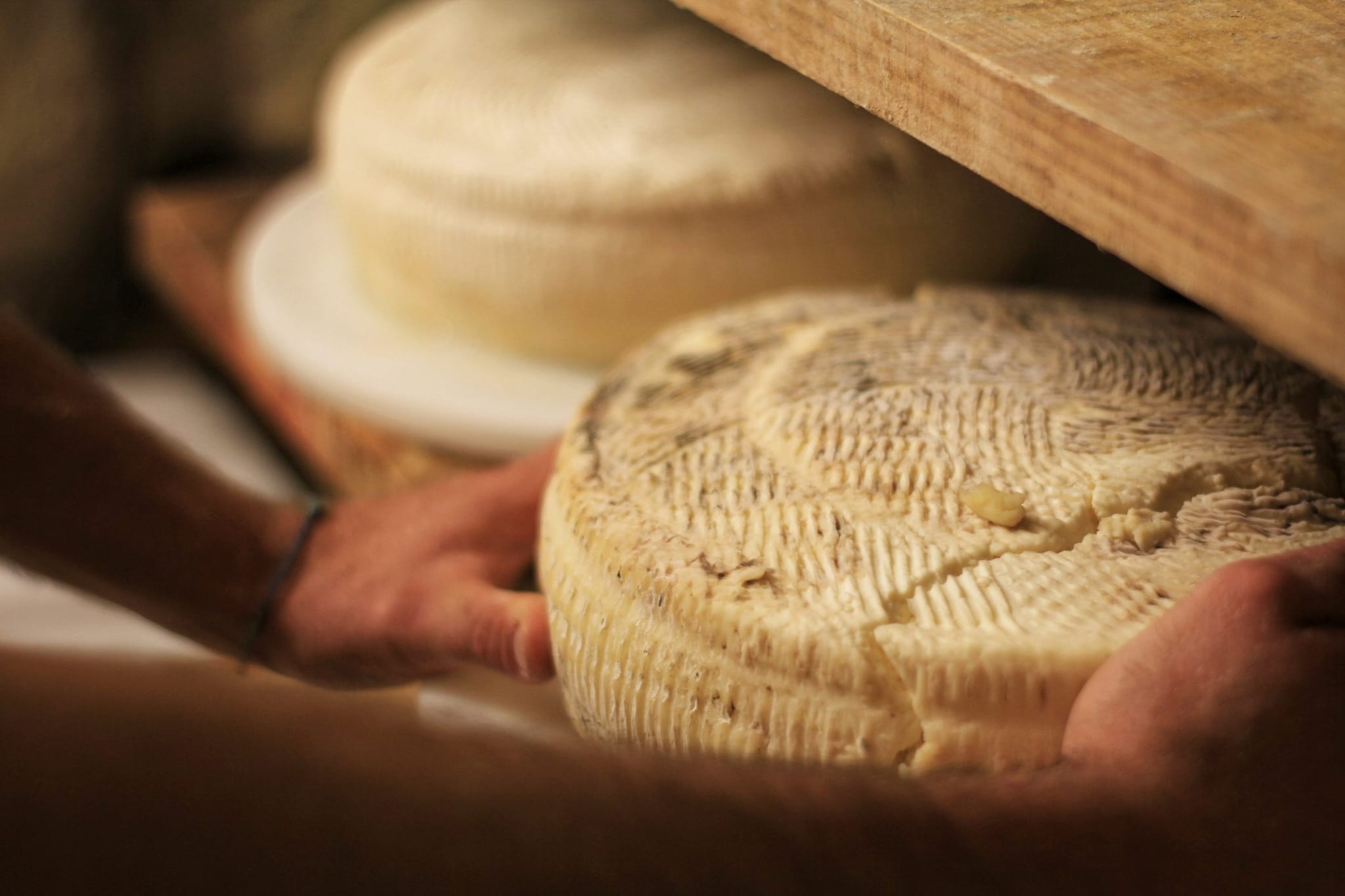 Richiamato formaggio per Escherichia coli: lotto 2428 a marchio Formazza. L'allerta alimentare