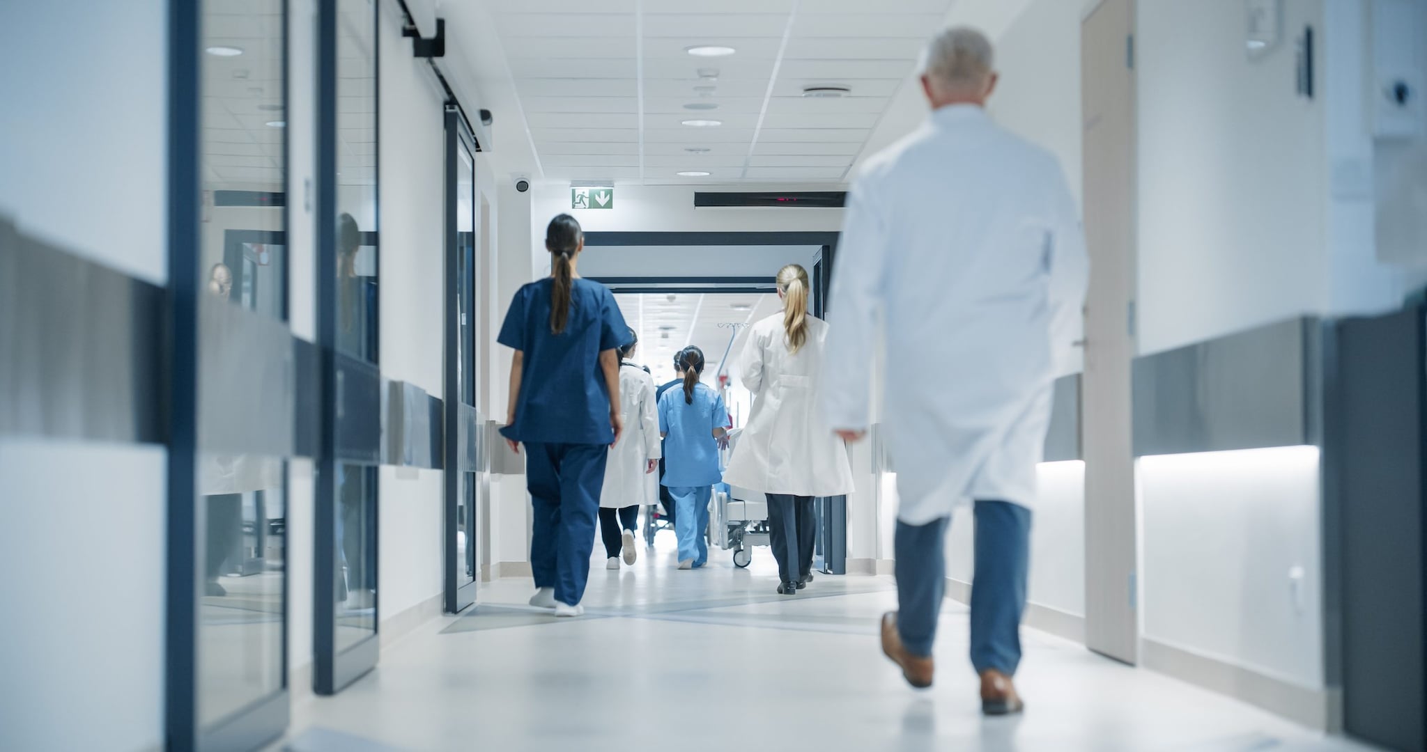 L'Ospedale Civico di Palermo pubblica bando con nomi dei vincitori, poi lo cancella: c'è anche il figlio del sindaco