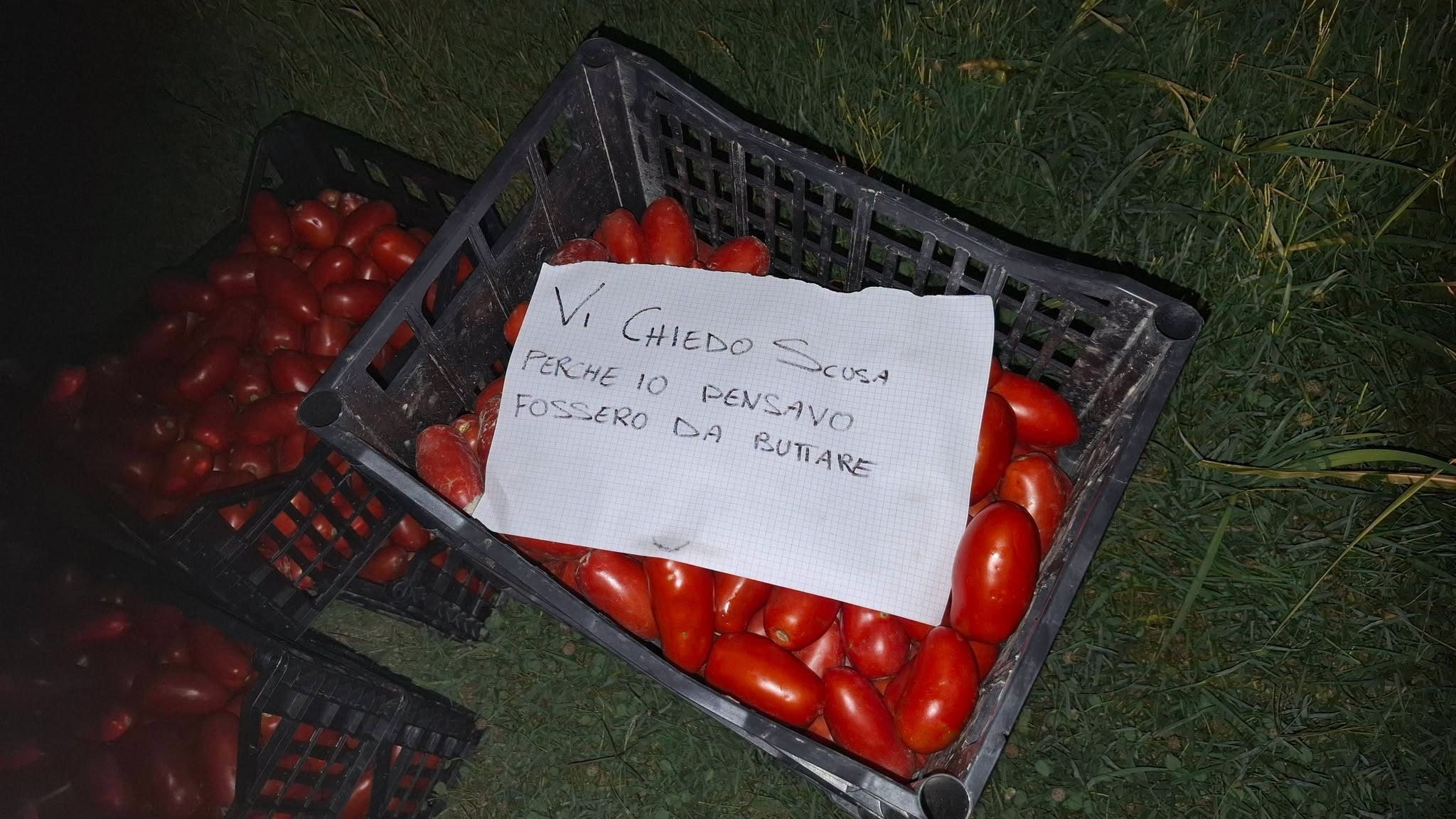 Ladro ruba 8 cassette di pomodori, poi le restituisce dopo 24 ore: "Pensavo fossero da buttare"