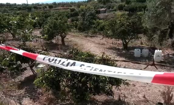 Calabria, fermato il marito di Carmela Bifano: l'avrebbe uccisa a colpi di pietra, poi ha chiamato il 118