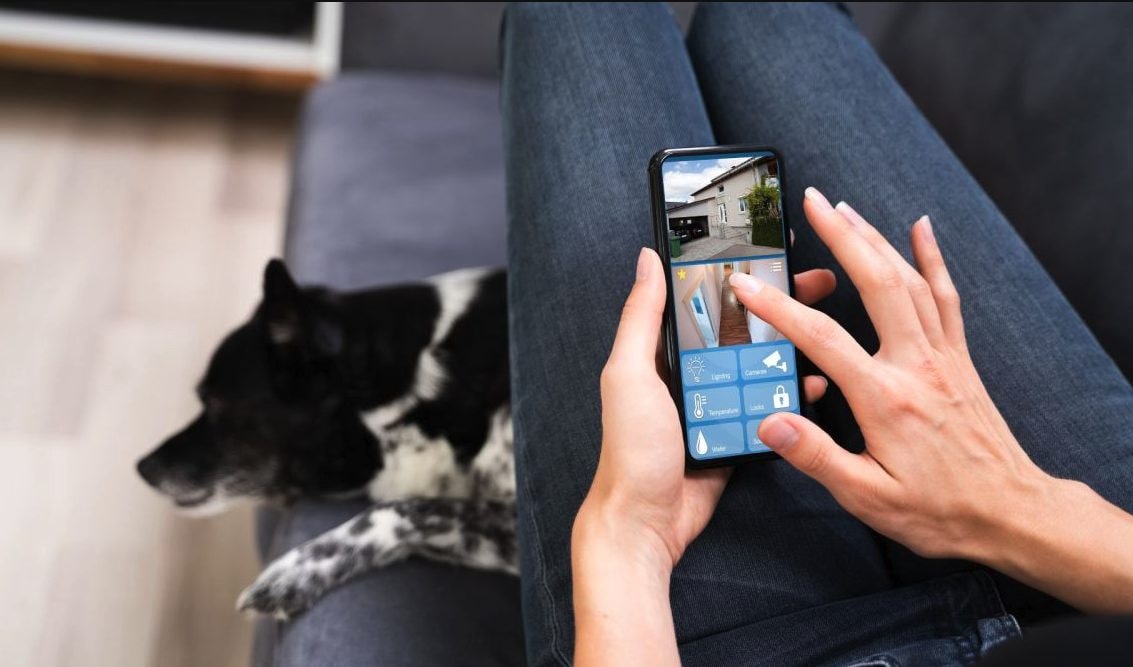 Installa telecamere per trovare chi ruba i soldi in casa, scopre la moglie che fa sesso col cane: 38enne arrestata