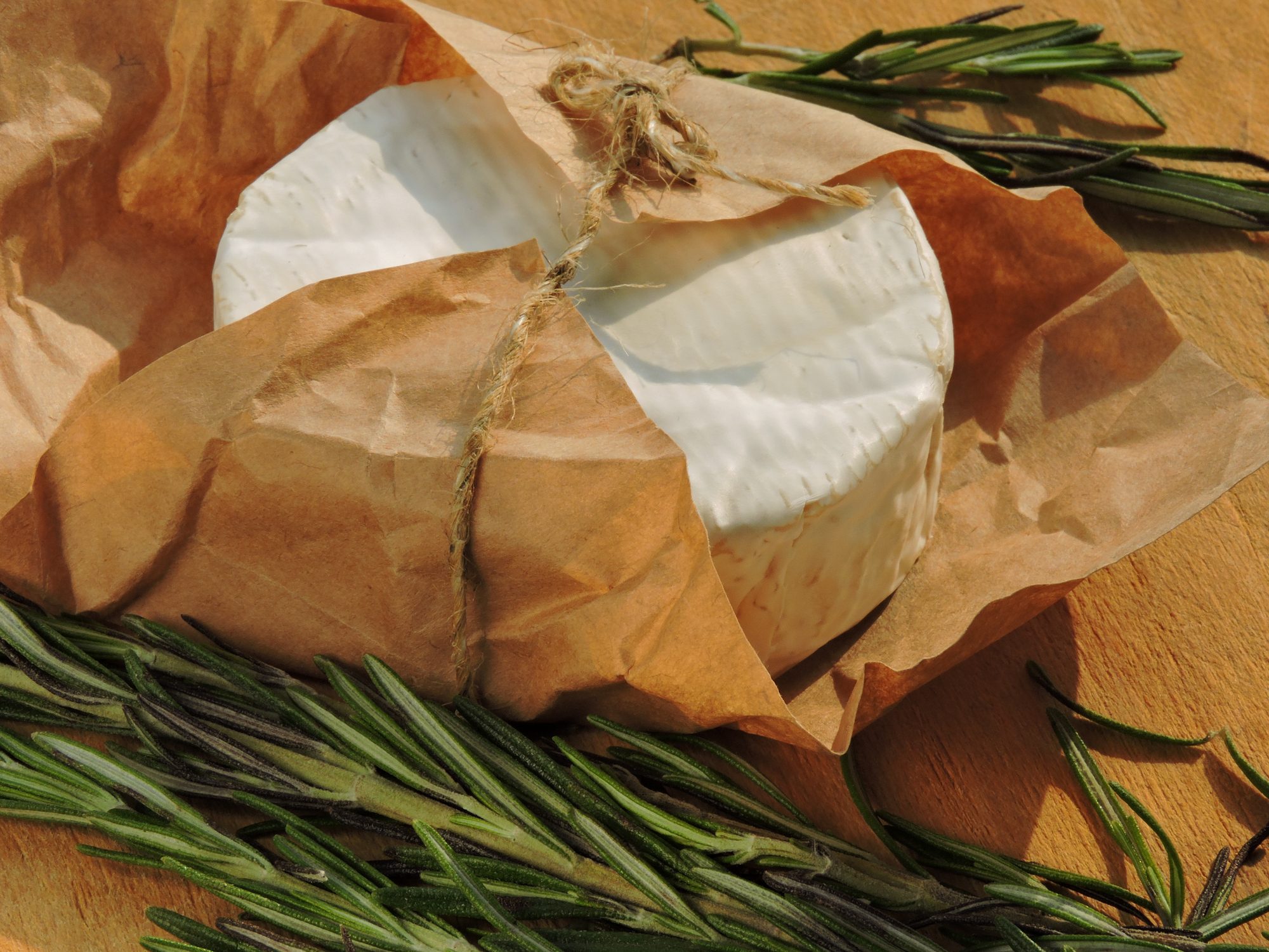 Fermaggio Presenza accertata di Escherichia Coli nel formaggio di pecora, scatta ...