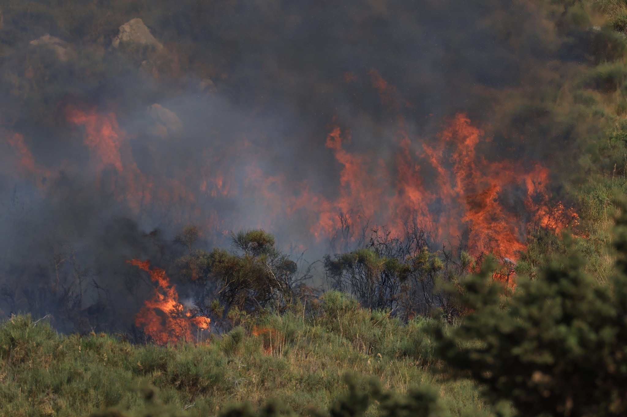 Volontario della Protezione Civile arrestato a Vieste: avrebbe appiccato 8 incendi boschivi nel Gargano
