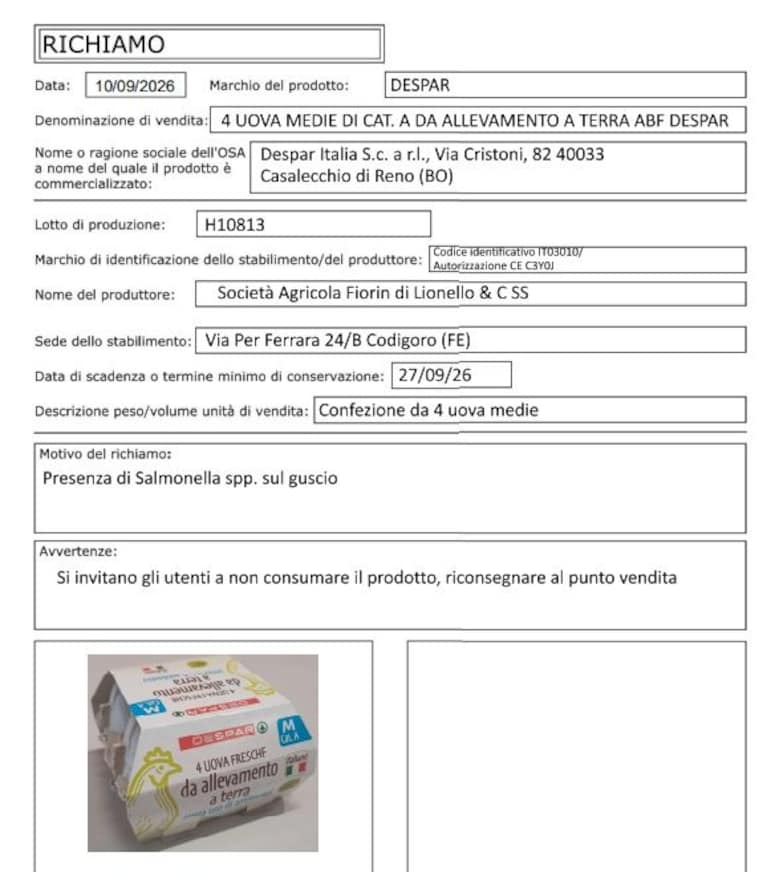 Immagine