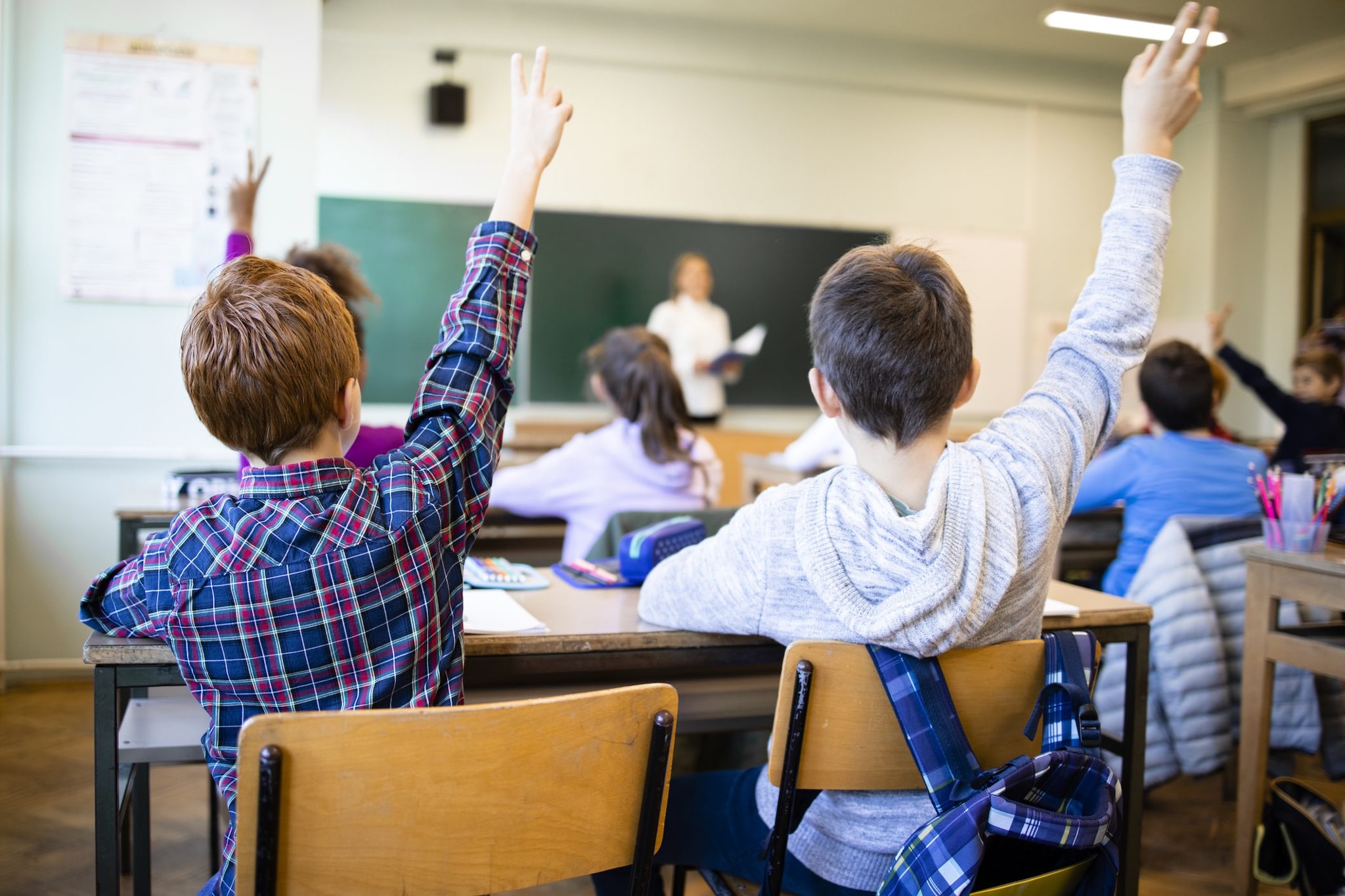 La prof di Lettere che sogna le elementari: "Per noi non c'è possibilità di stabilizzazione, ma per i diplomati sì"