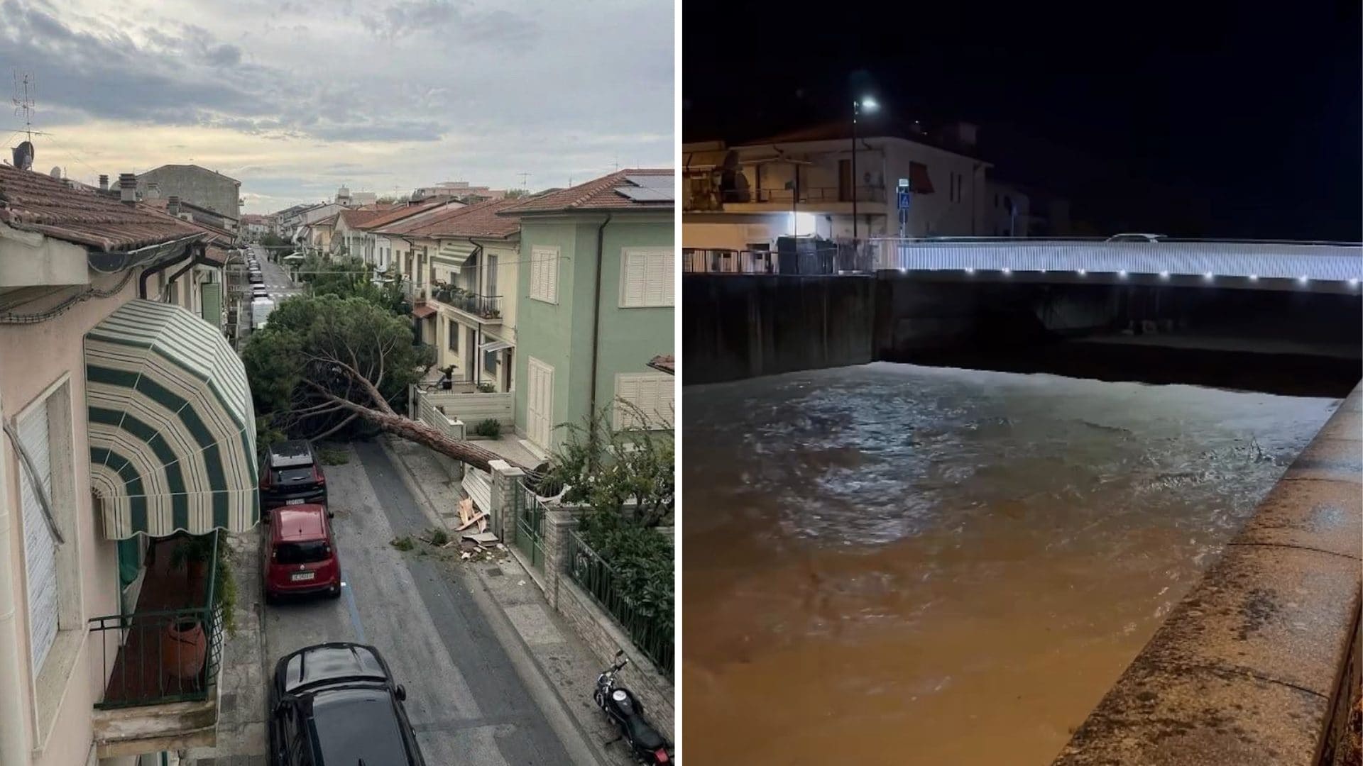 Maltempo in Toscana: fiumi di fango e alberi caduti in strada, a Viareggio l'asilo è inagibile