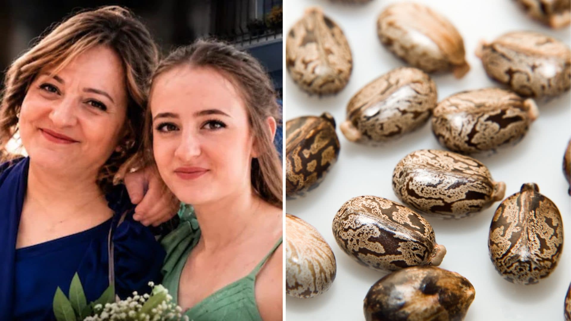 Giallo della ricina, indagini su una vaschetta di cozze buttata nell'immondizia: ascoltato l'addetto ai rifiuti