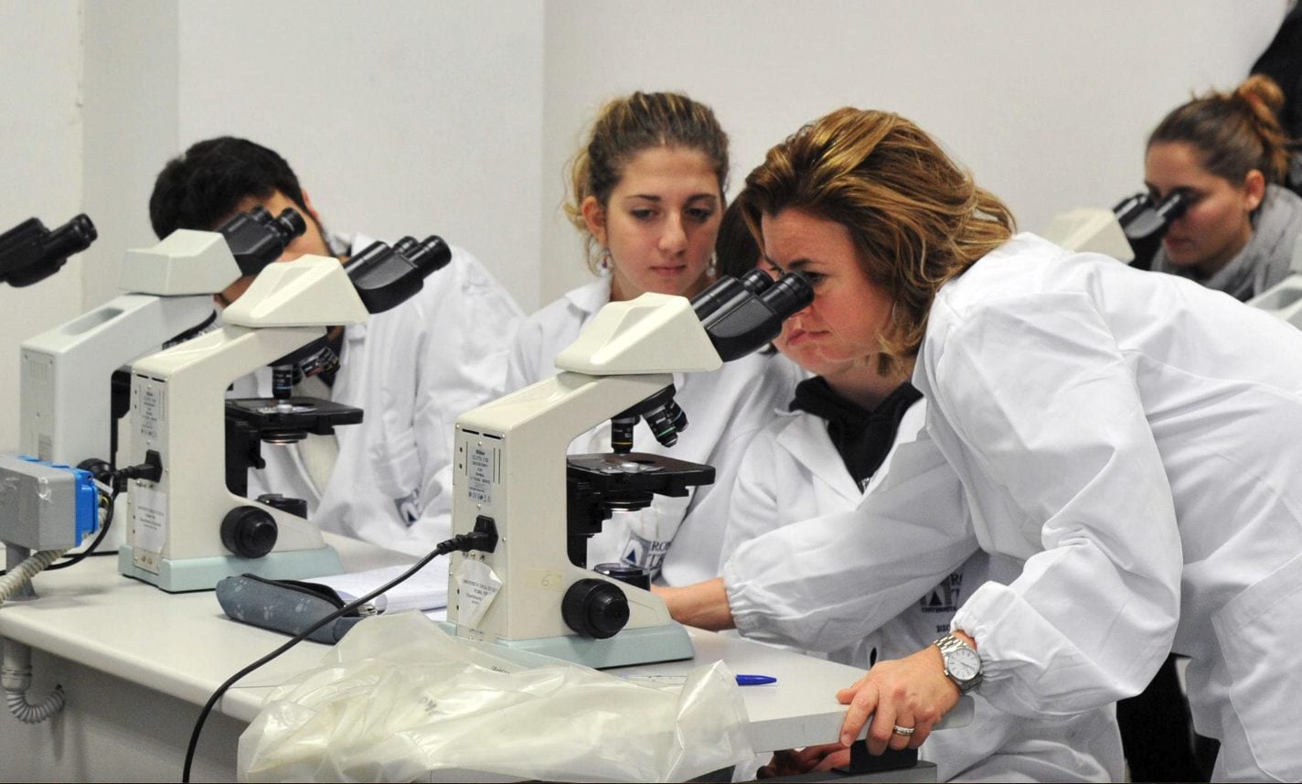 Biologia, la laurea diventa abilitante: cosa cambia per gli studenti oltre all'Albo di categoria