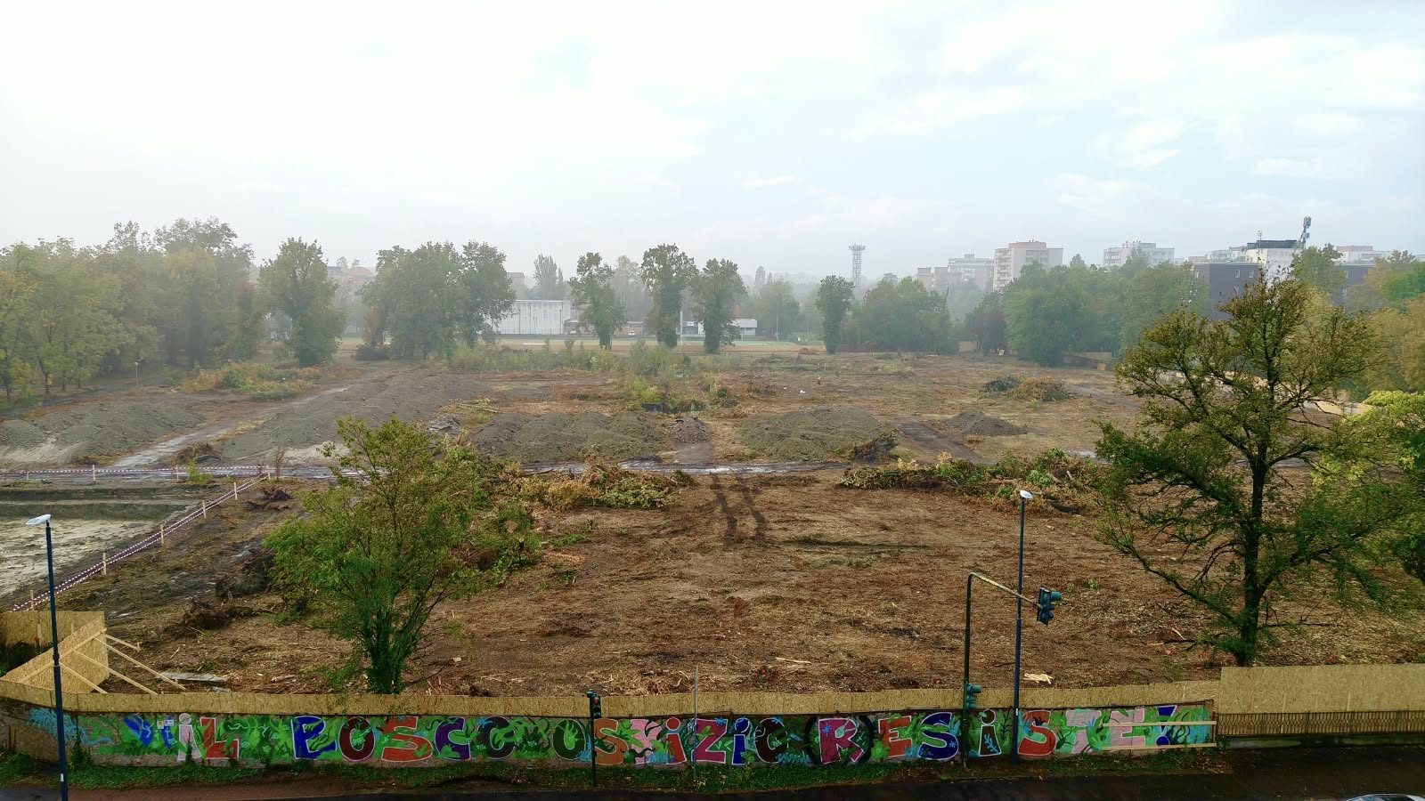 Ipermercato al posto di un bosco a Reggio Emilia: i giudici fermano le ruspe, ma gli alberi sono già stati abbattuti