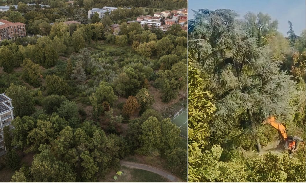 A Reggio Emilia stanno sradicando un bosco di 4,5 ettari per fare spazio all'ennesimo ipermercato