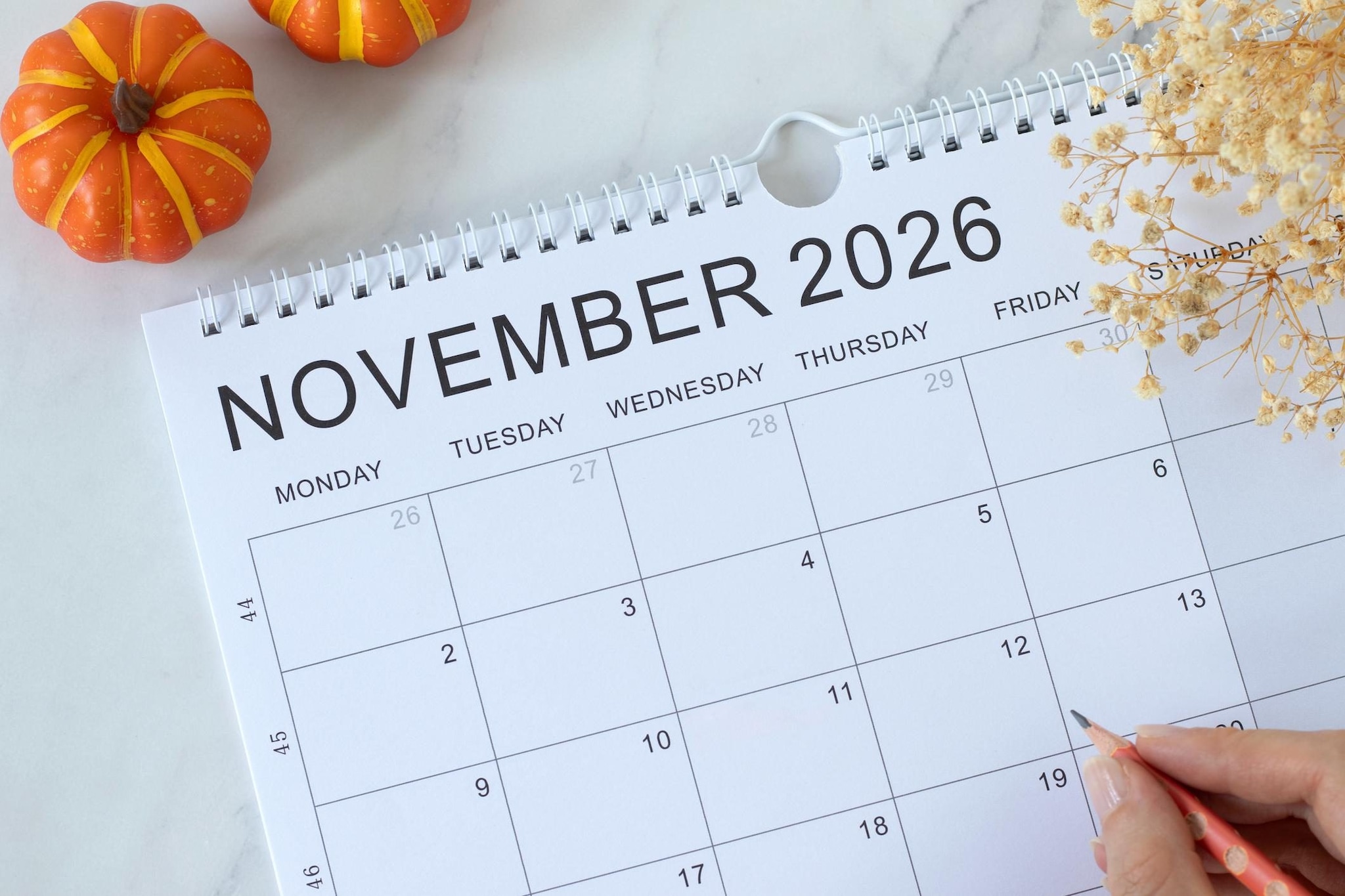 Quando chiudono le scuole per Ognissanti, il calendario per il ponte del 2 novembre regione per regione