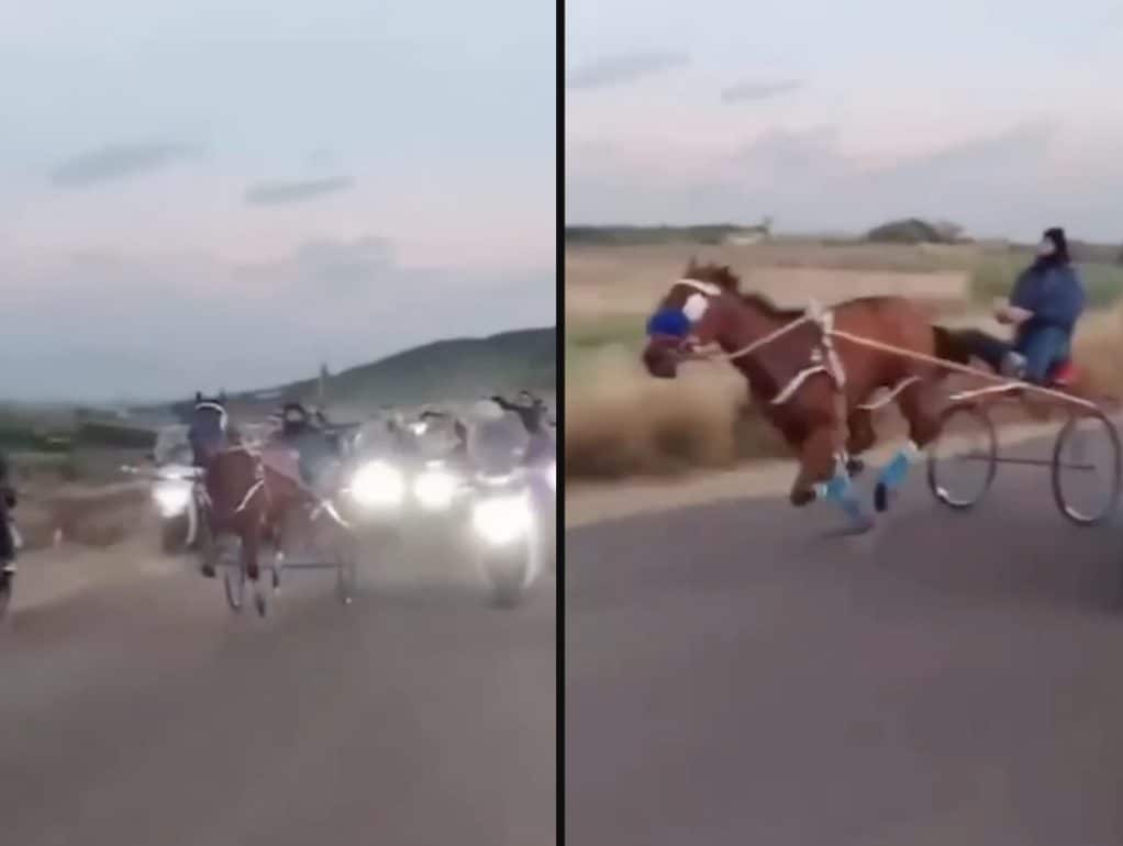 Corsa clandestina di cavalli a Palagonia, nel video si vedono uomini armati: cinque persone denunciate