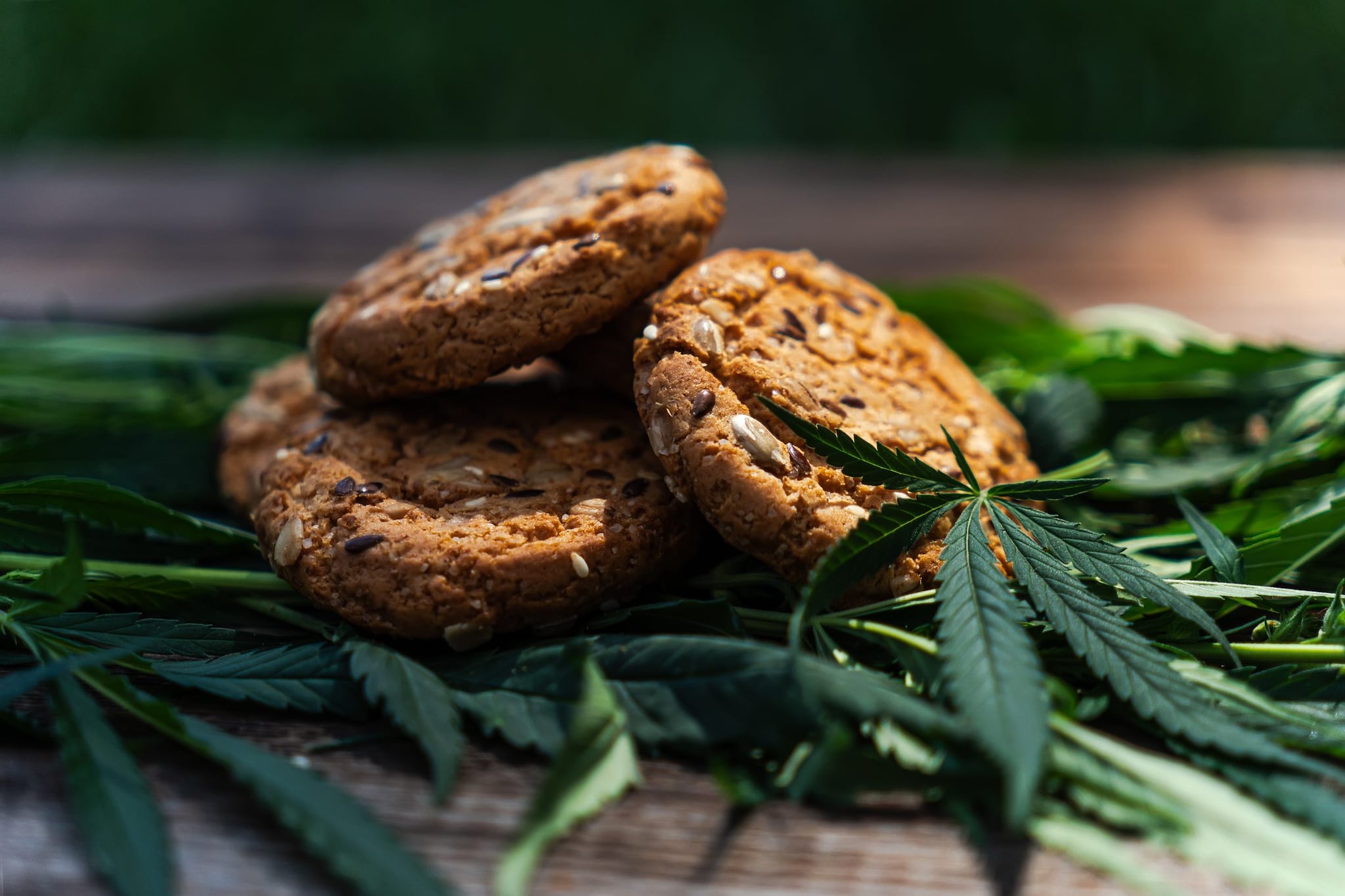Mangiano dolci all'hashish durante una festa: cinque studenti Erasmus finiscono in ospedale a Perugia