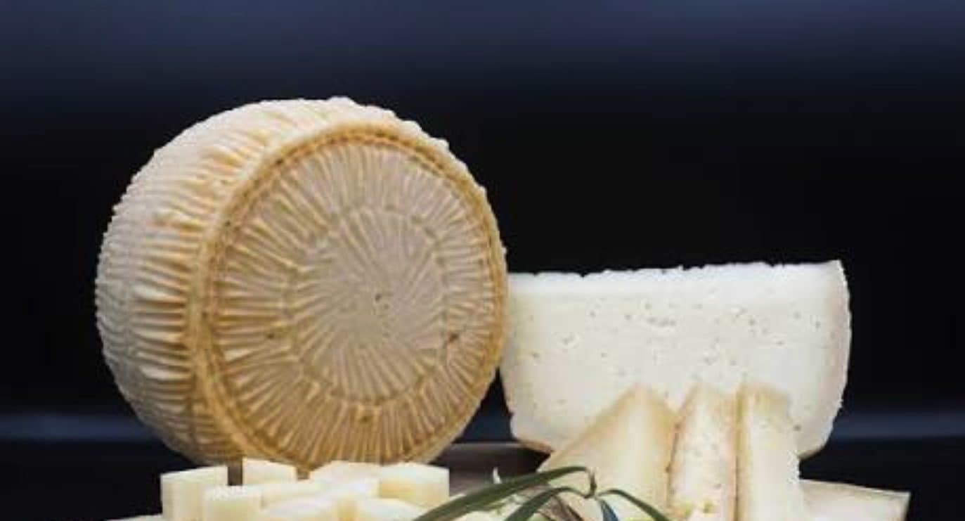 Presenza accertata di Escherichia Coli nel formaggio di pecora, scatta il richiamo: l’avviso del Ministero della salute