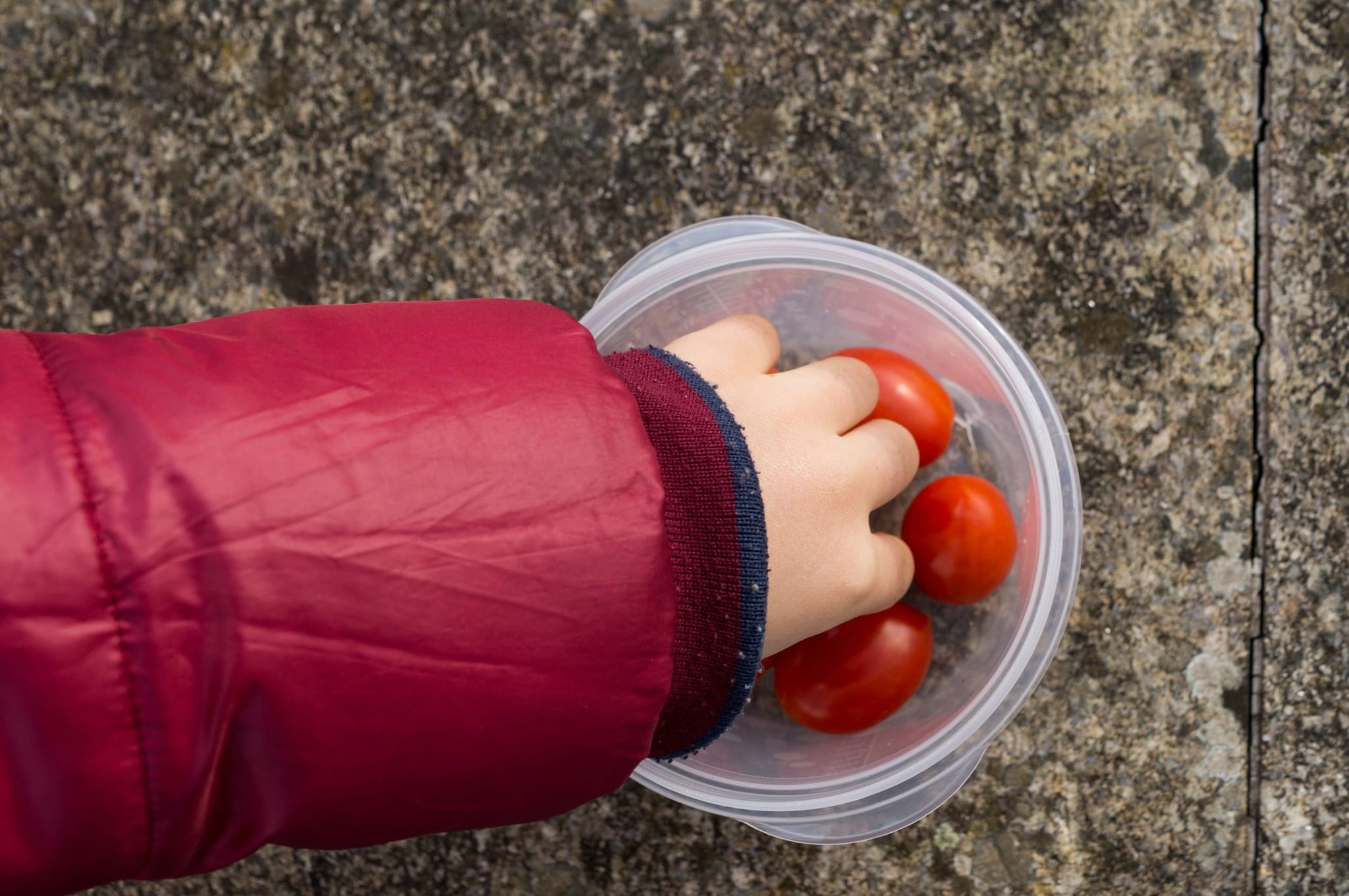 Salmonella, la Puglia vieta il consumo di pomodori crudi nelle scuole: dove sono i focolai