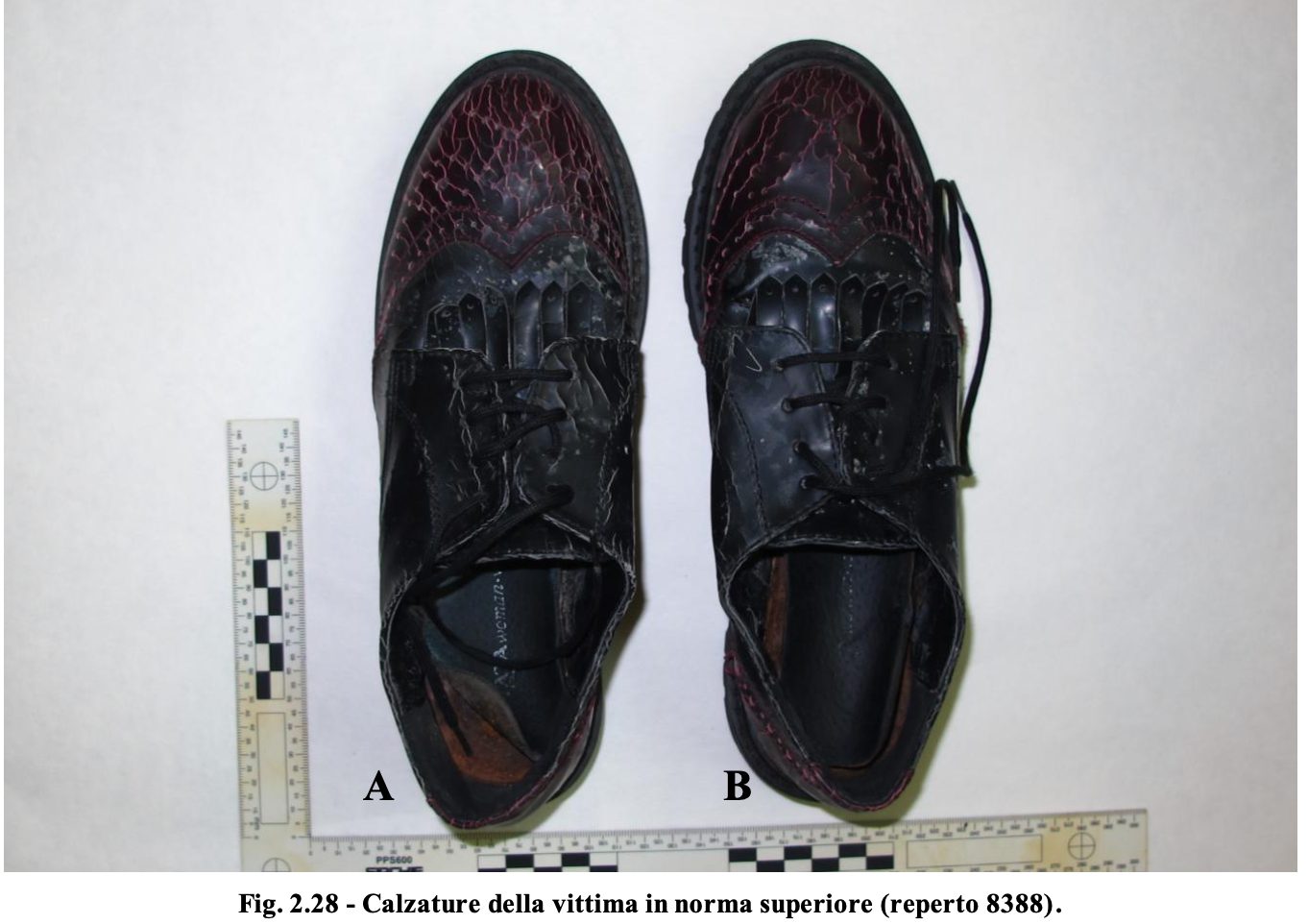 Liliana Resinovich non è stata nel laboratorio di Visintin prima di morire: la perizia sulle scarpe