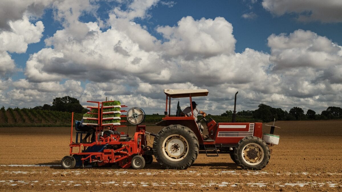 Immagine