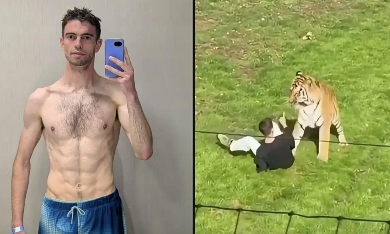 Chi era William Chapman, il 20enne ucciso dalla tigre: spunta il video mentre si avvicina all'animale