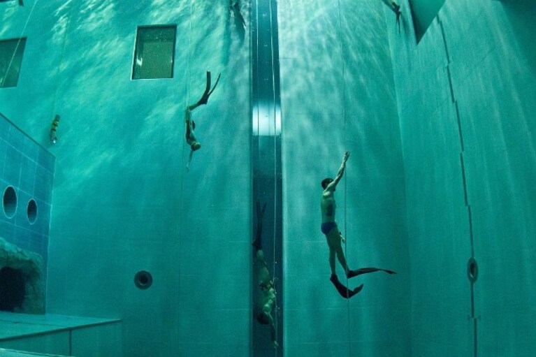 Immagine