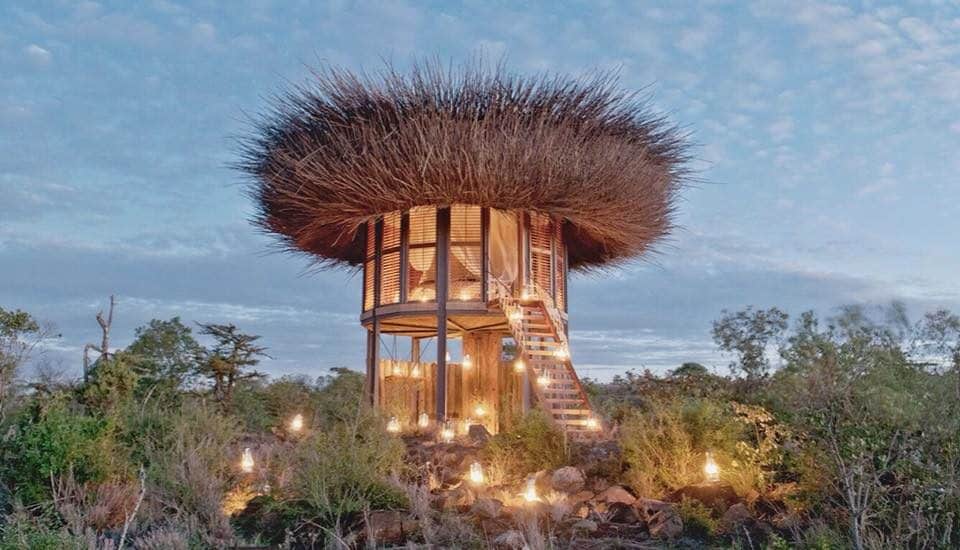 Una suite a nido di uccello benvenuti nell'hotel di lusso più piccolo al mondo Una suite a nido di uccello benvenuti nell'hotel di lusso più piccolo al mondo