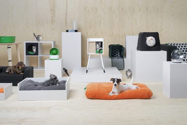 Ikea Presenta Lurvig La Prima Collezione Dedicata A Cani E Gatti