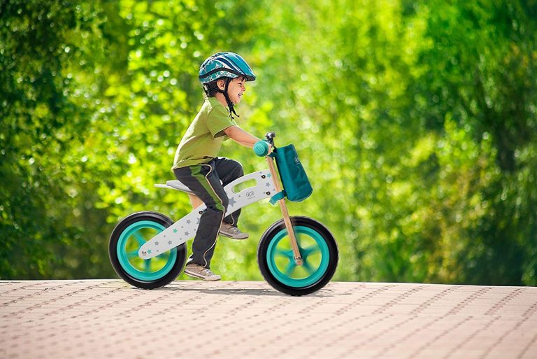 Wakects Bicicletta Equilibrio Bambini Blu Balance Bike per Ragazzi e Ragazze da 1 a 3 Anni Bicicletta Senza Pedali per Bambini