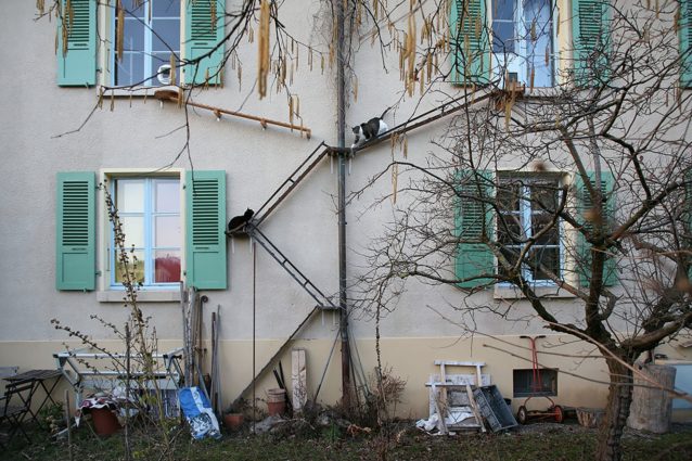 Berna. Foto Brigitte Schuster