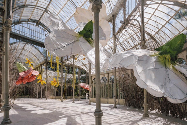 Vista della mostra Petrit Halilaj. Ad un corvo e agli uragani che da luoghi sconosciuti riportano odori di umani innamorati , Palacio de Cristal, 2020