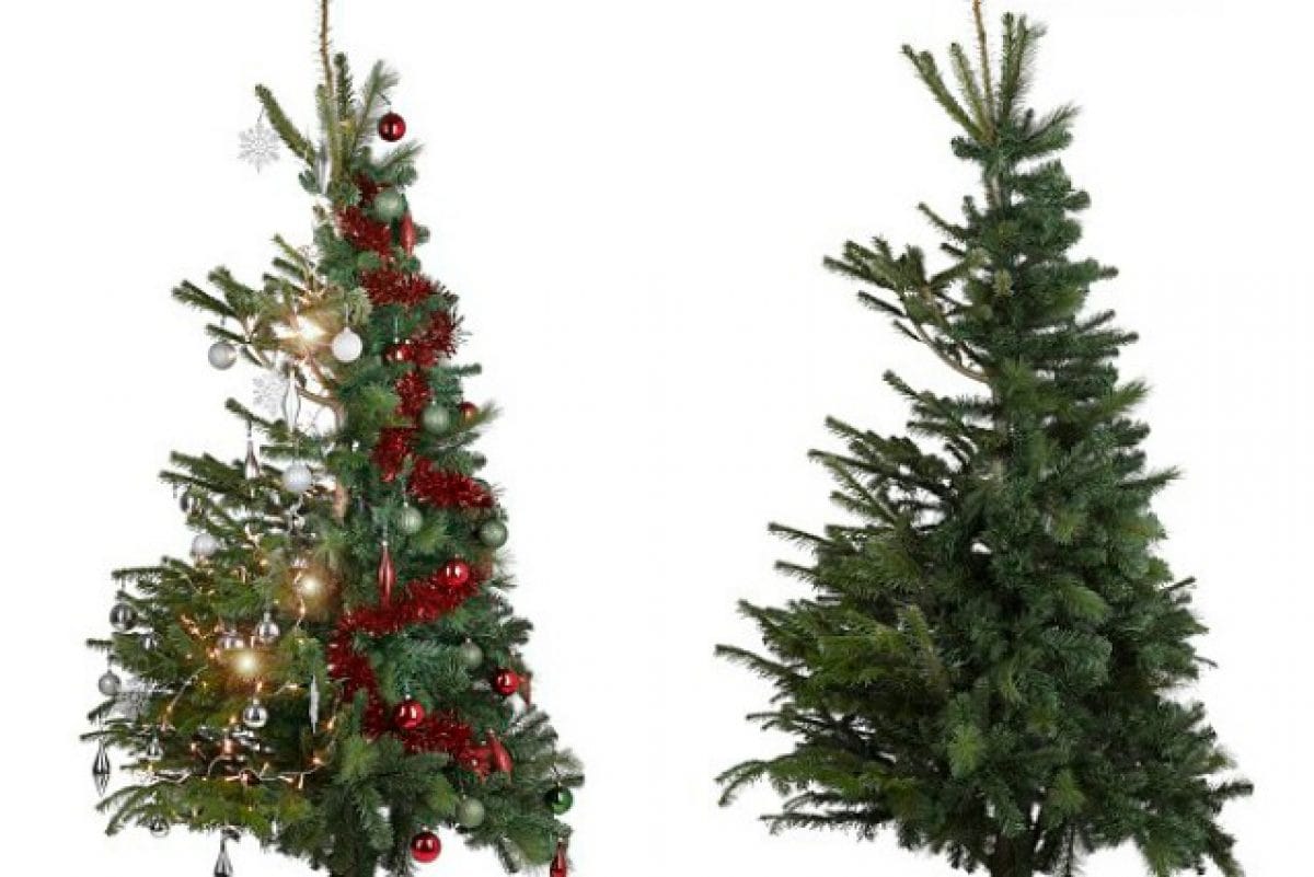 Albero di Natale vero o finto? Ecco l'abete ibrido che rende tutti felici