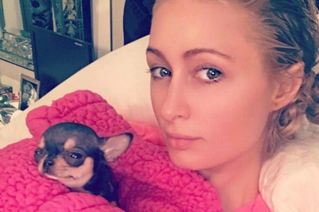 Paris Hilton senza trucco sui social: l’ereditiera ha sempre un viso perfetto