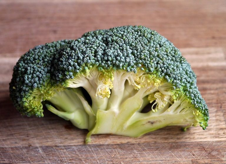 Alimenti Che Accelerano Il Metabolismo Tutti I Cibi Per Bruciare Grassi