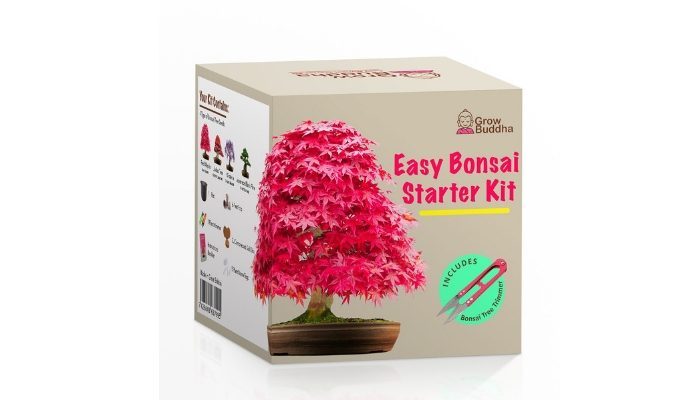 Kit per bonsai