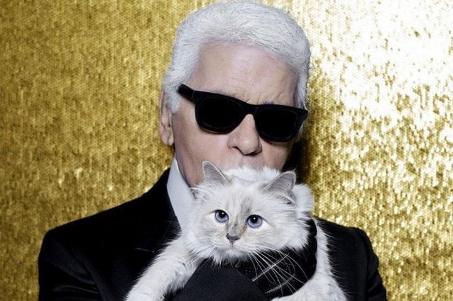 Choupette, la gatta ereditiera di Karl Lagerfeld