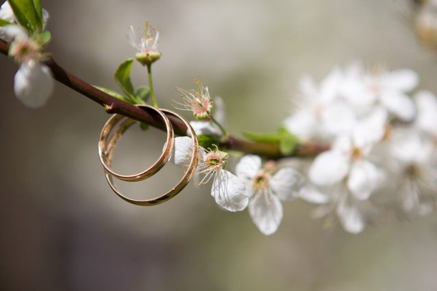 Per sbaglio invia un messaggio destinato alla moglie a un’altra donna, si innamora di lei e la sposa