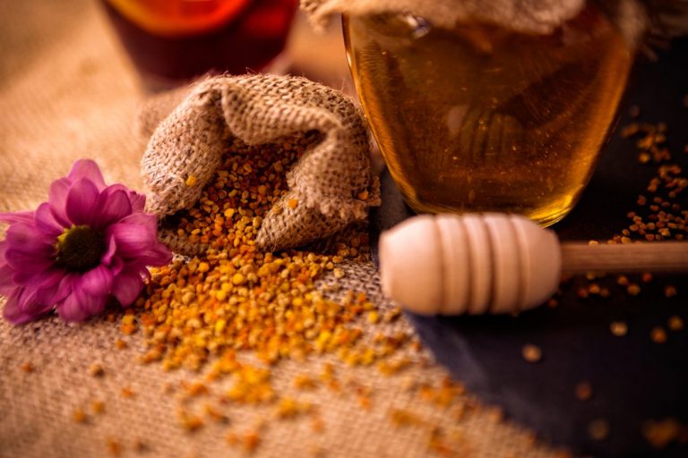 Propoli: proprietà benefiche e utilizzi dell'antibiotico naturale