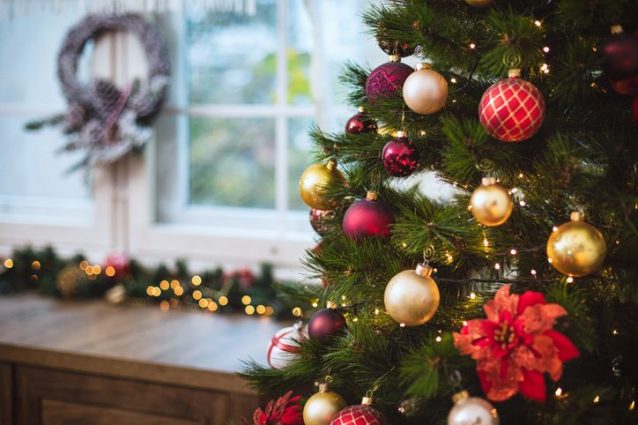 Addobbare L Albero Di Natale Come addobbare l'albero di Natale in maniera perfetta: gli step da seguire