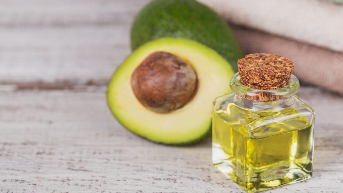 Olio di avocado: proprietà e usi cosmetici per pelle e capelli