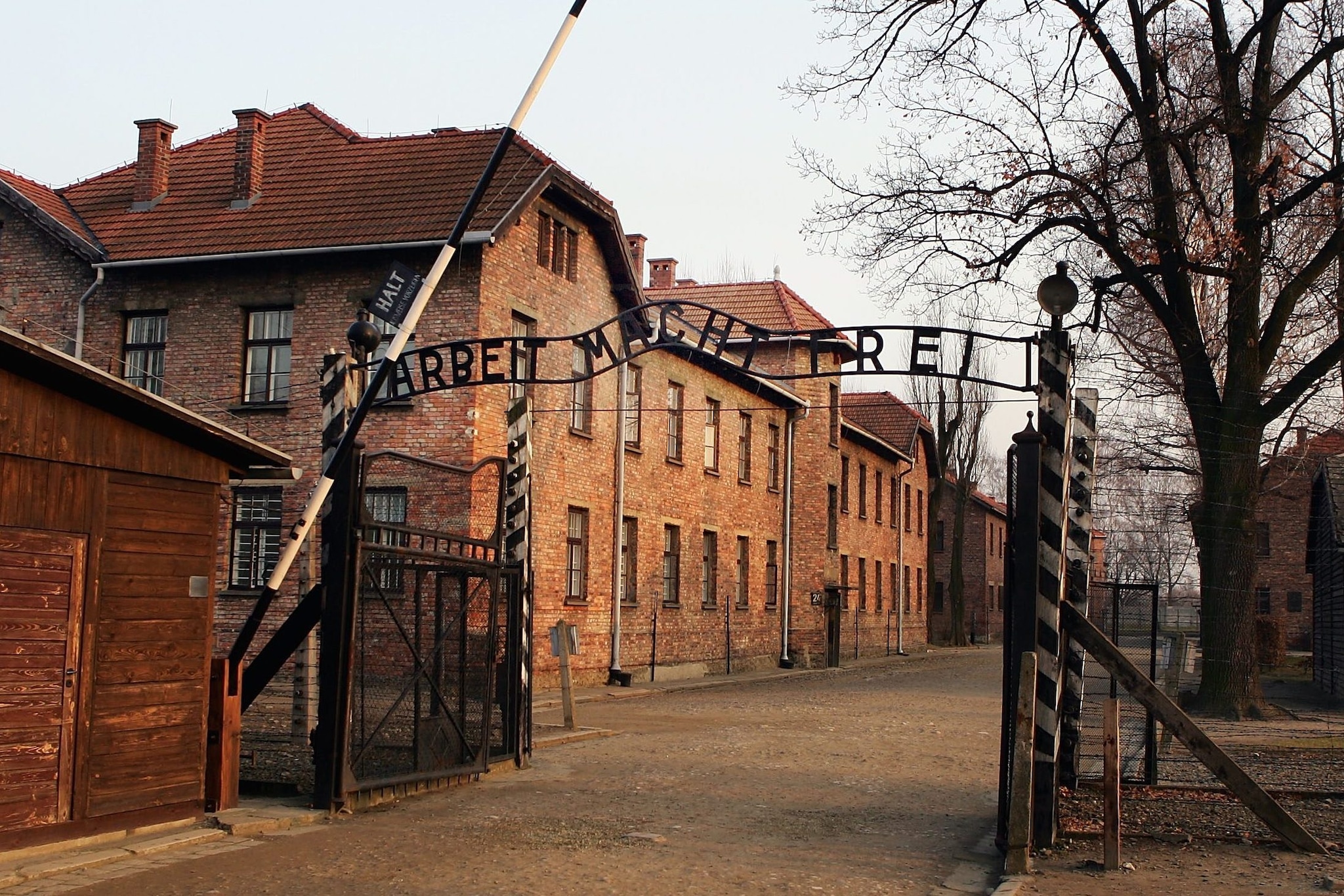 Giornata della memoria: la prima volta Auschwitz aprì le sue porte a 999 donne, numero non casuale