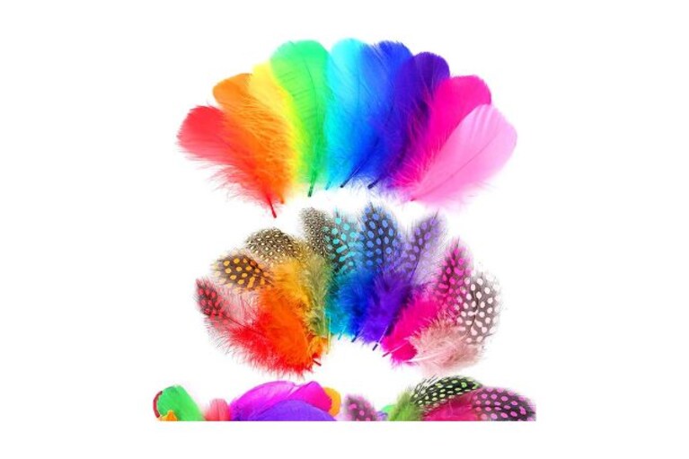 piume colorate per decorazioni Sunshine