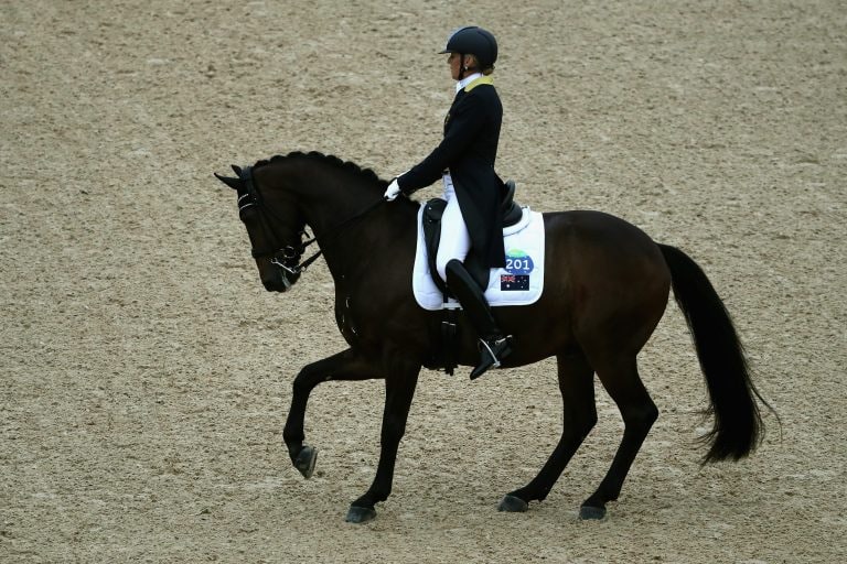 Eta Minima Dei Cavalli Alle Olimpiadi