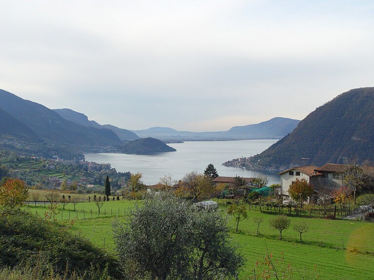 Immagine