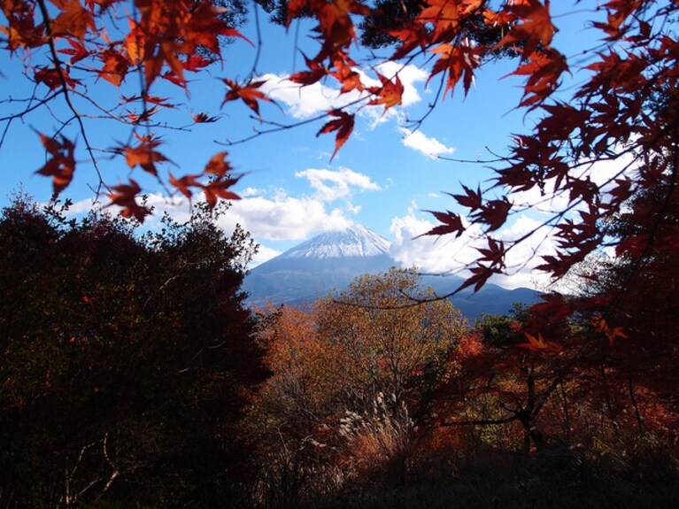 Il Monte Fuji da Aokigahara